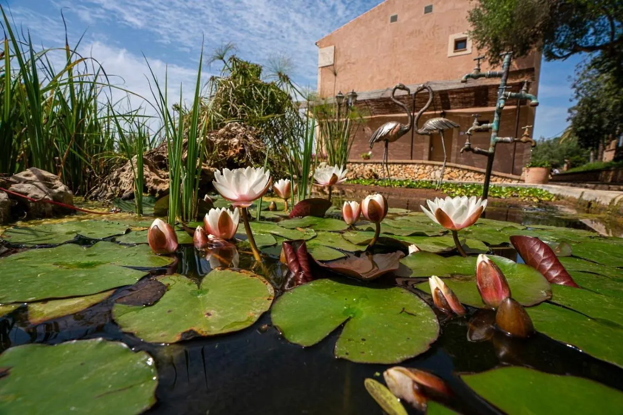 فيلانيتكس Finca Agroturismo Son Menut 0*,
