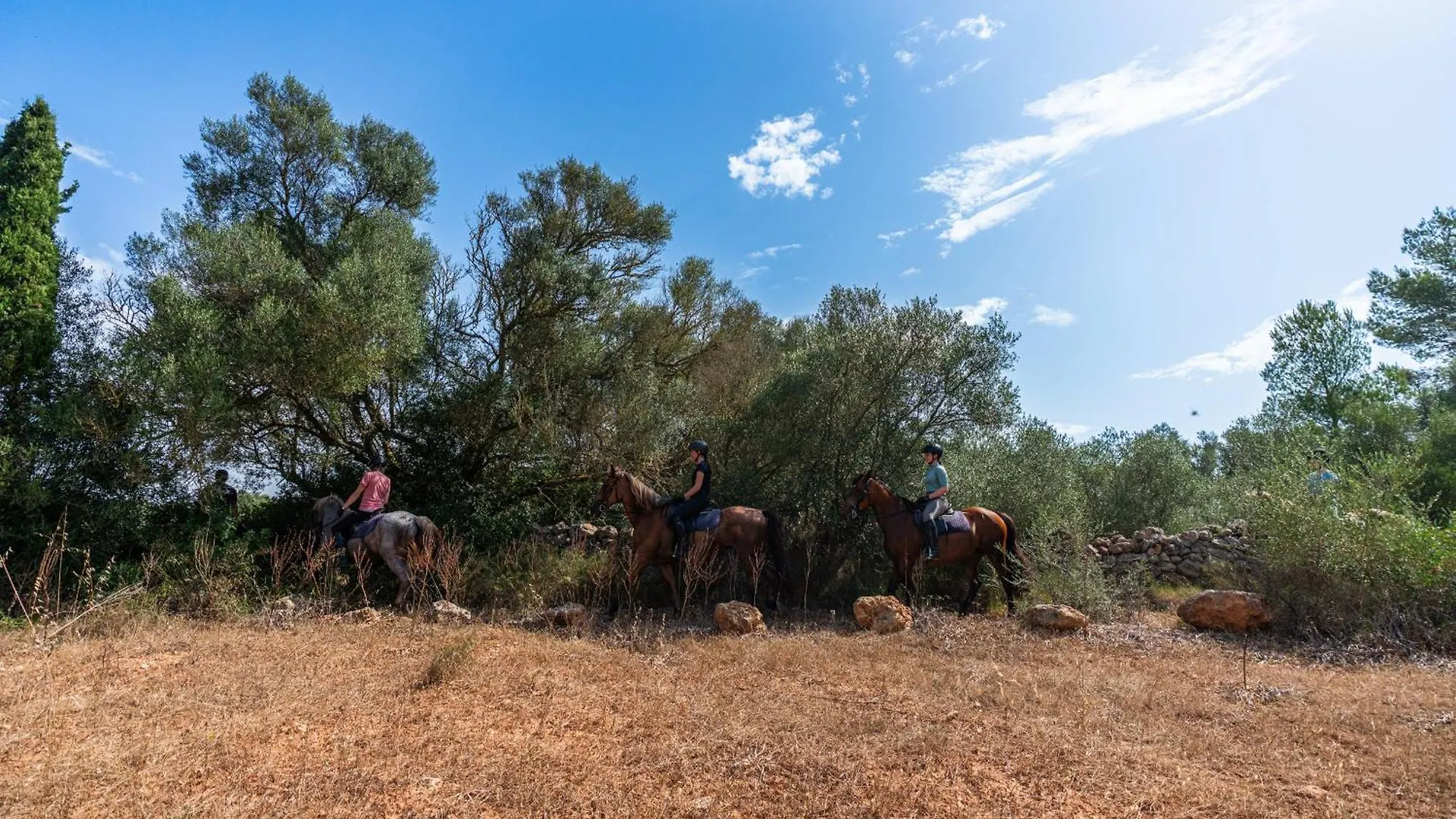 فيلانيتكس Finca Agroturismo Son Menut