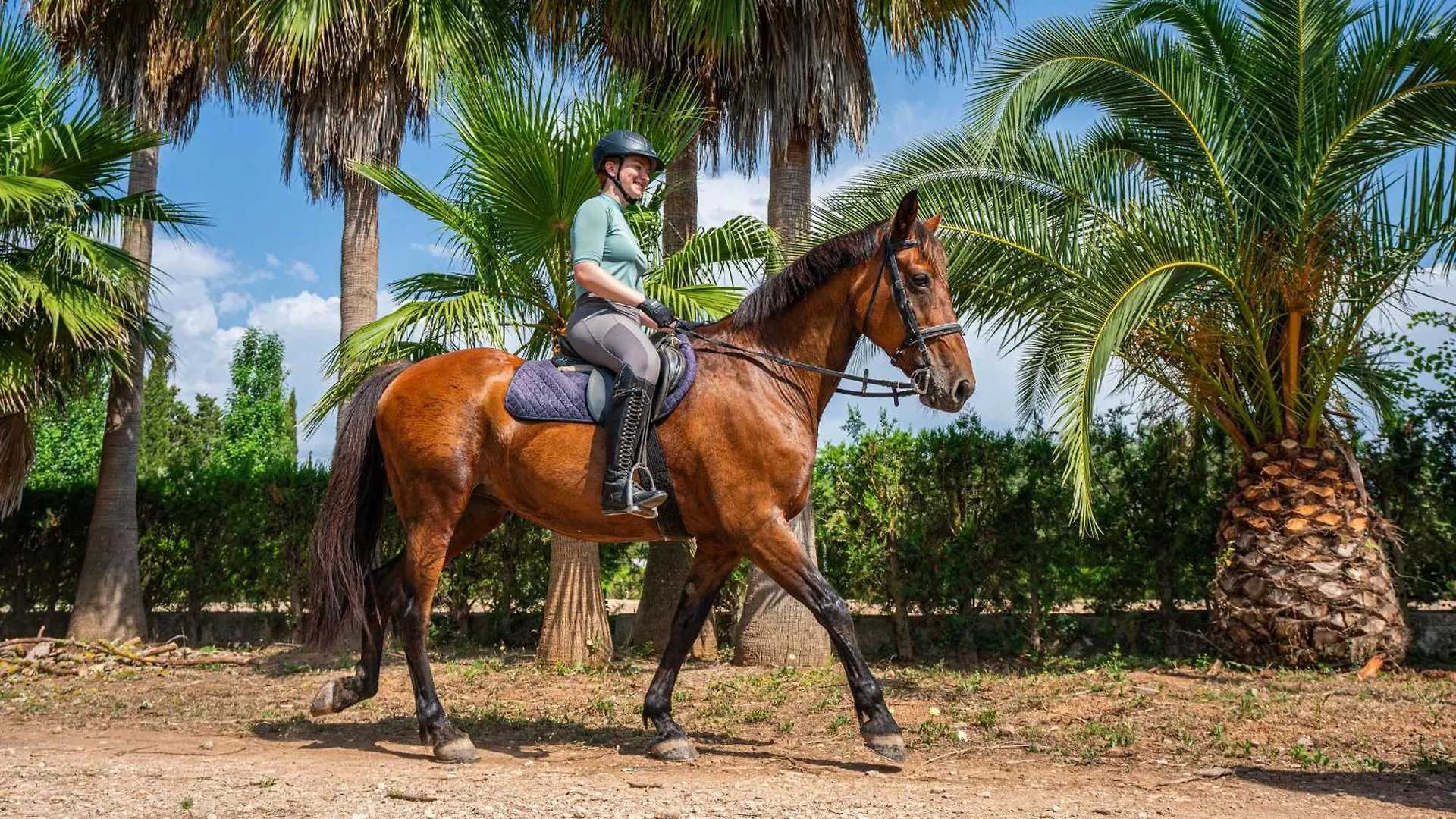 فيلانيتكس Finca Agroturismo Son Menut