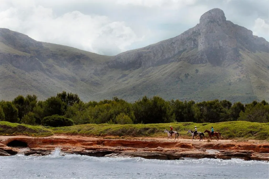 فيلانيتكس Finca Agroturismo Son Menut