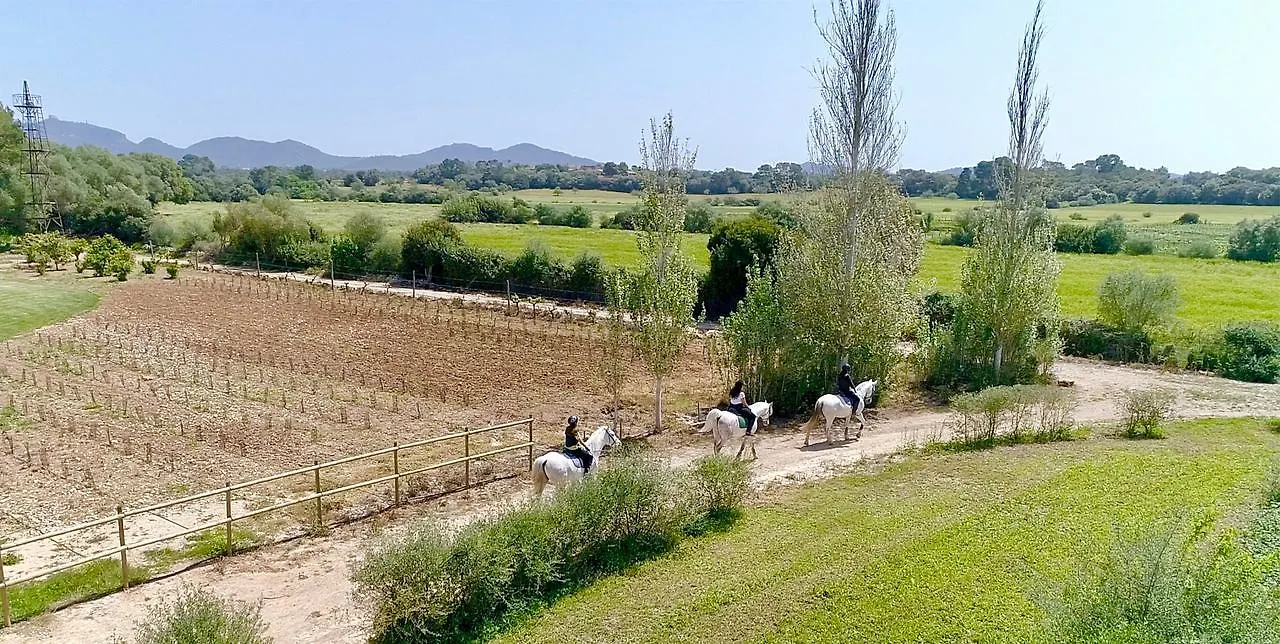 فيلانيتكس Finca Agroturismo Son Menut