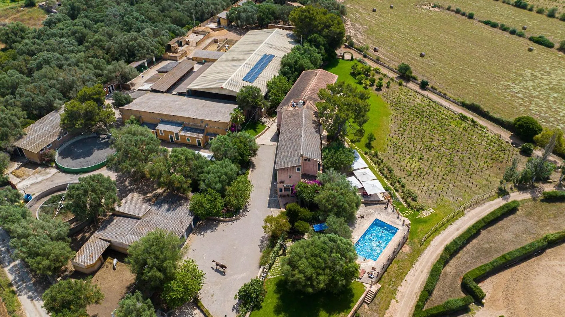 Finca Agroturismo Son Menut Феланич Испания