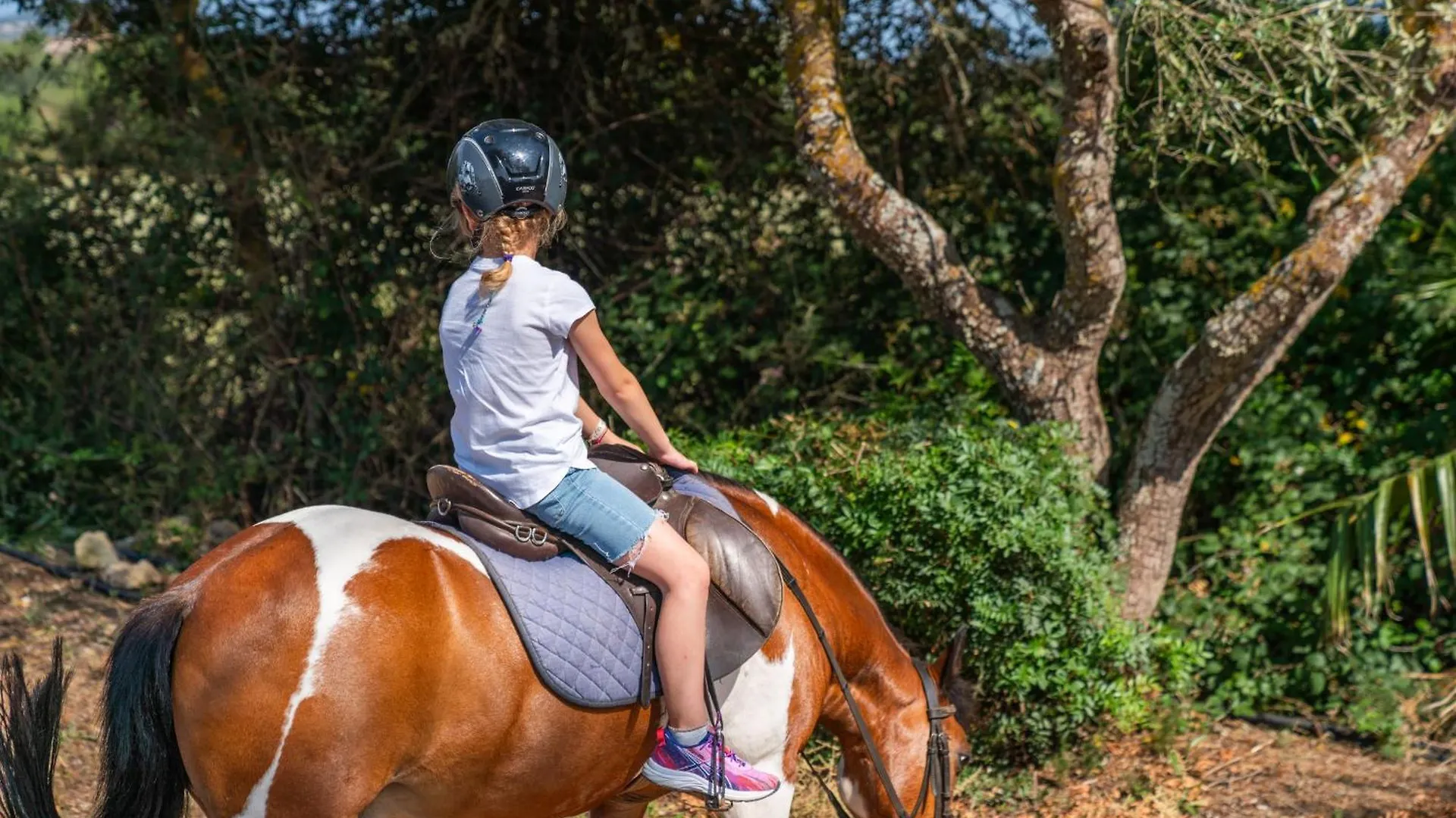 Finca Agroturismo Son Menut Феланич Испания