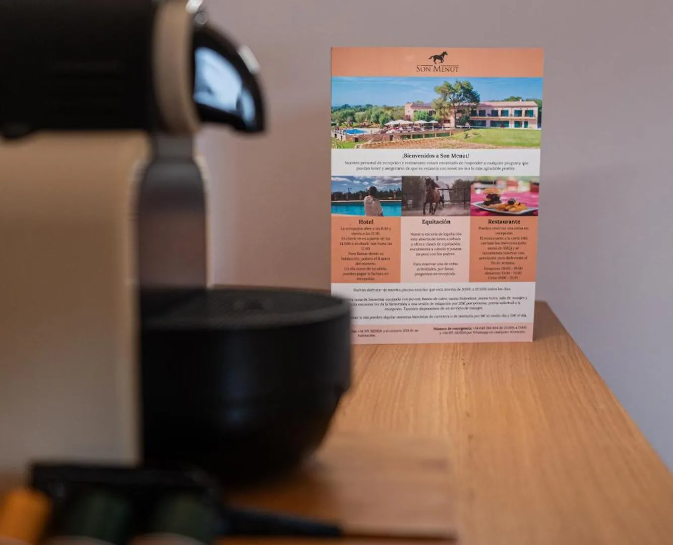 Летний дом Finca Agroturismo Son Menut Феланич