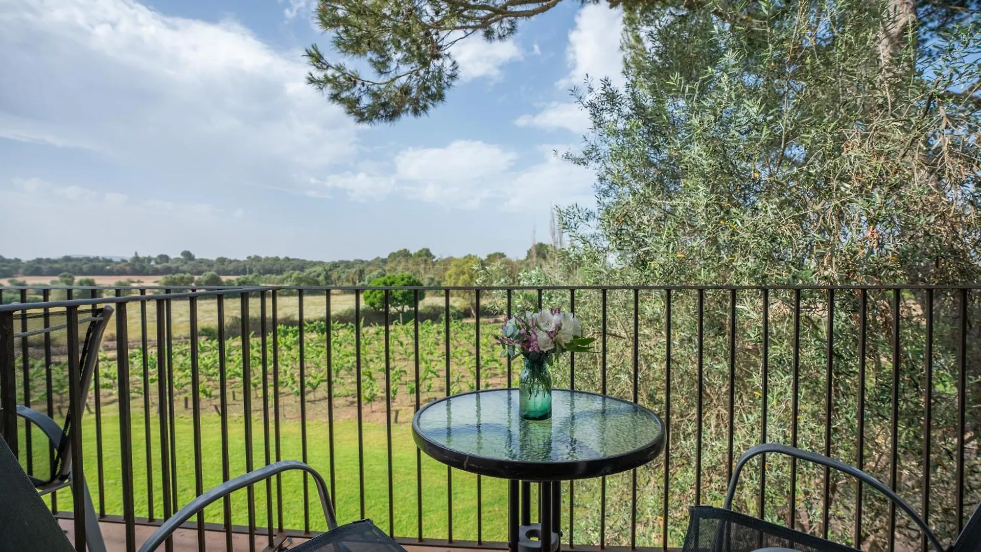Летний дом Finca Agroturismo Son Menut Феланич Испания