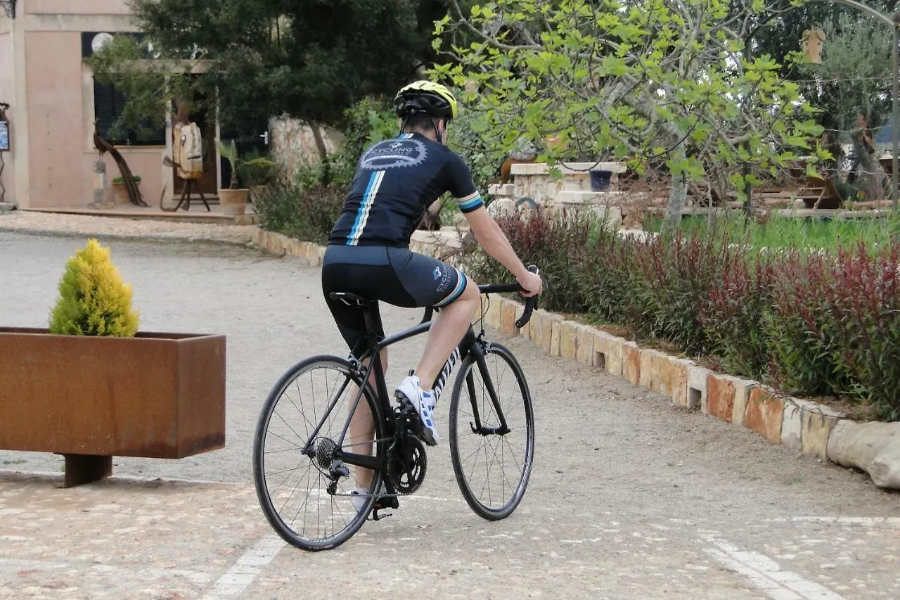 Finca Agroturismo Son Menut Феланич